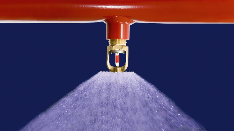 Image-20230608143846-1